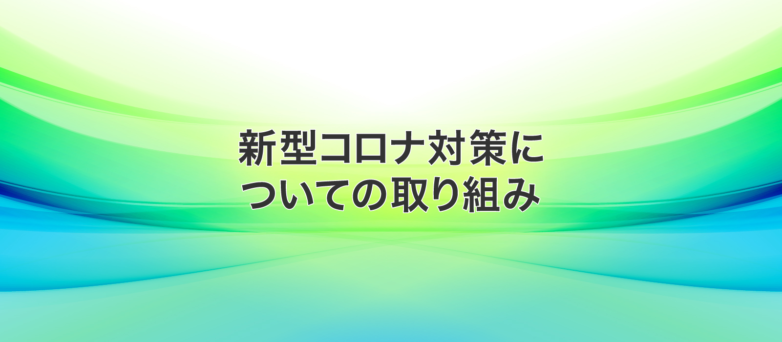 日本維新の会 身を切る改革 実行中 維新はやる 次の時代を創る