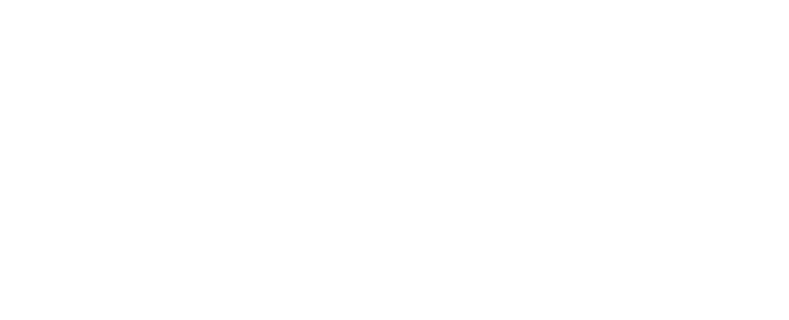 地域版マニフェスト